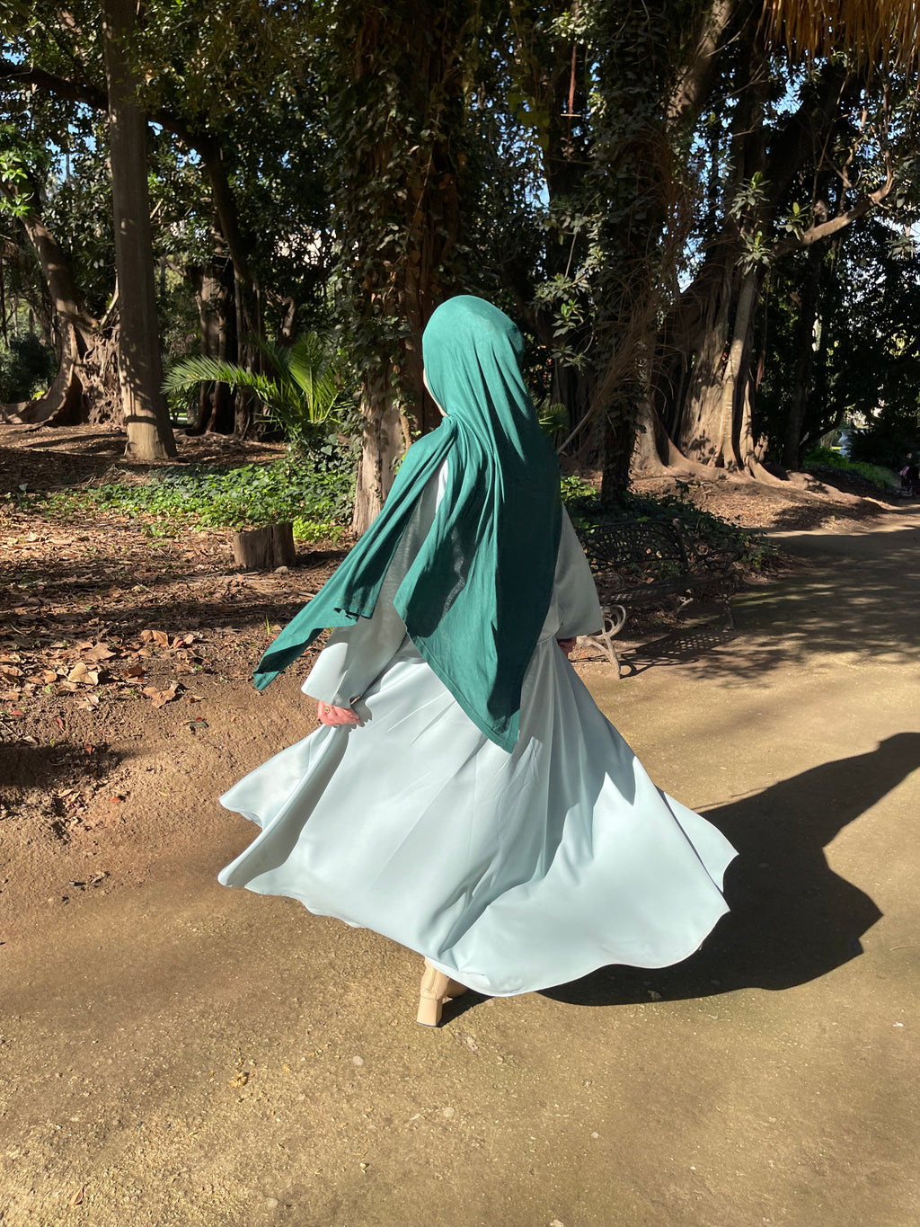 Ensemble nihed